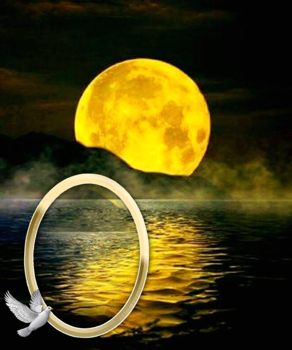 Elaine's Picture Frames - 2018 January - Full moon over the water