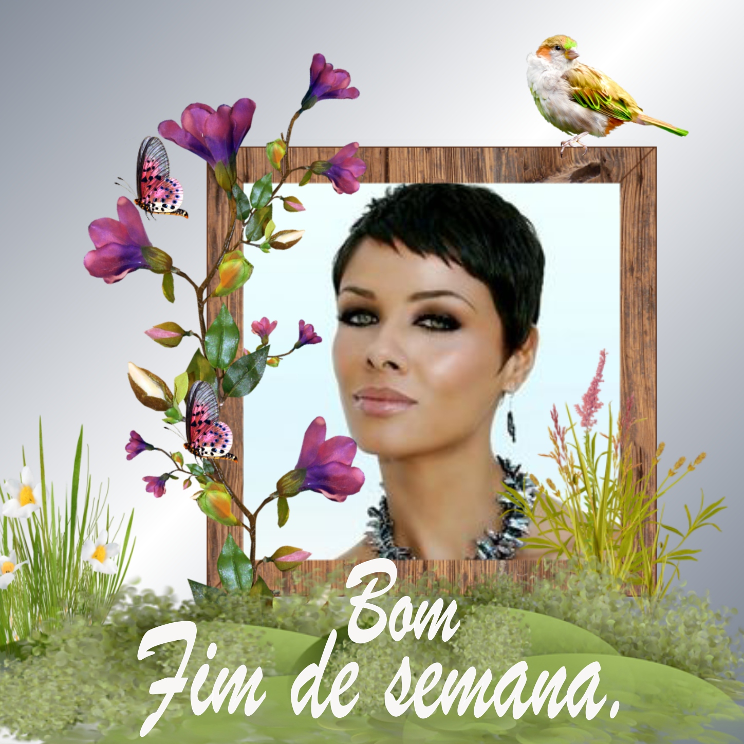 adelaide-s-week-weekend-semana-fim-de-semana-2008-adelaide-feliz
