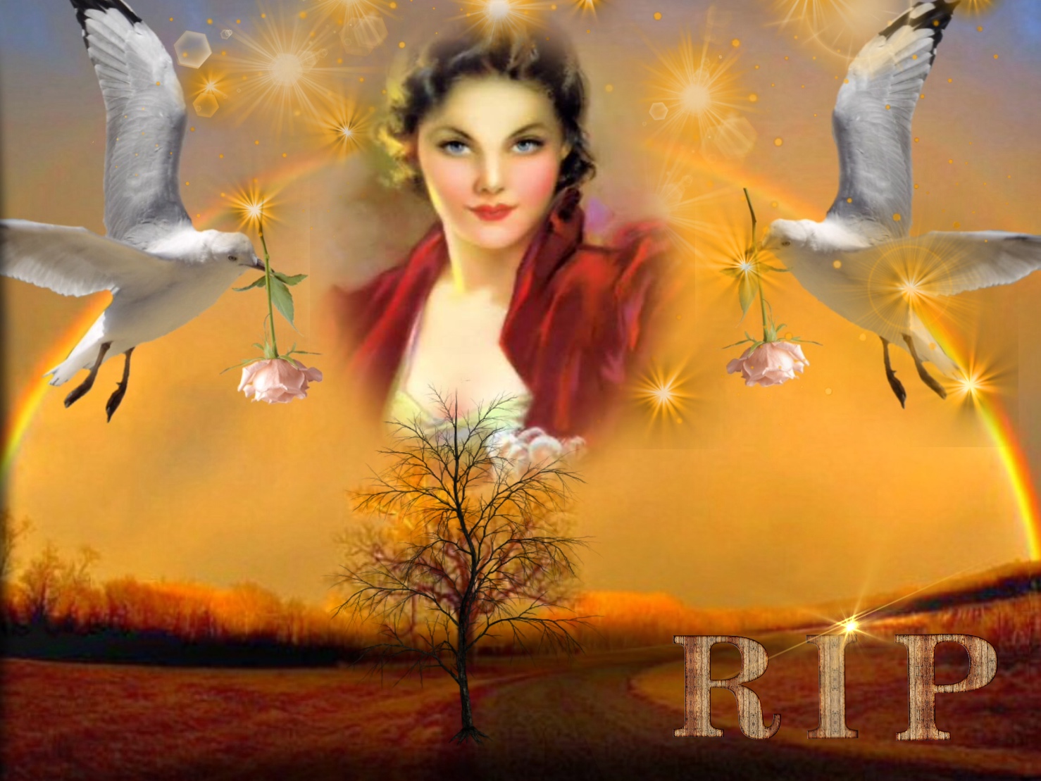 Wienie Coppen's Love romance - rainbow rip seagulls - rainbow rip seagulls
