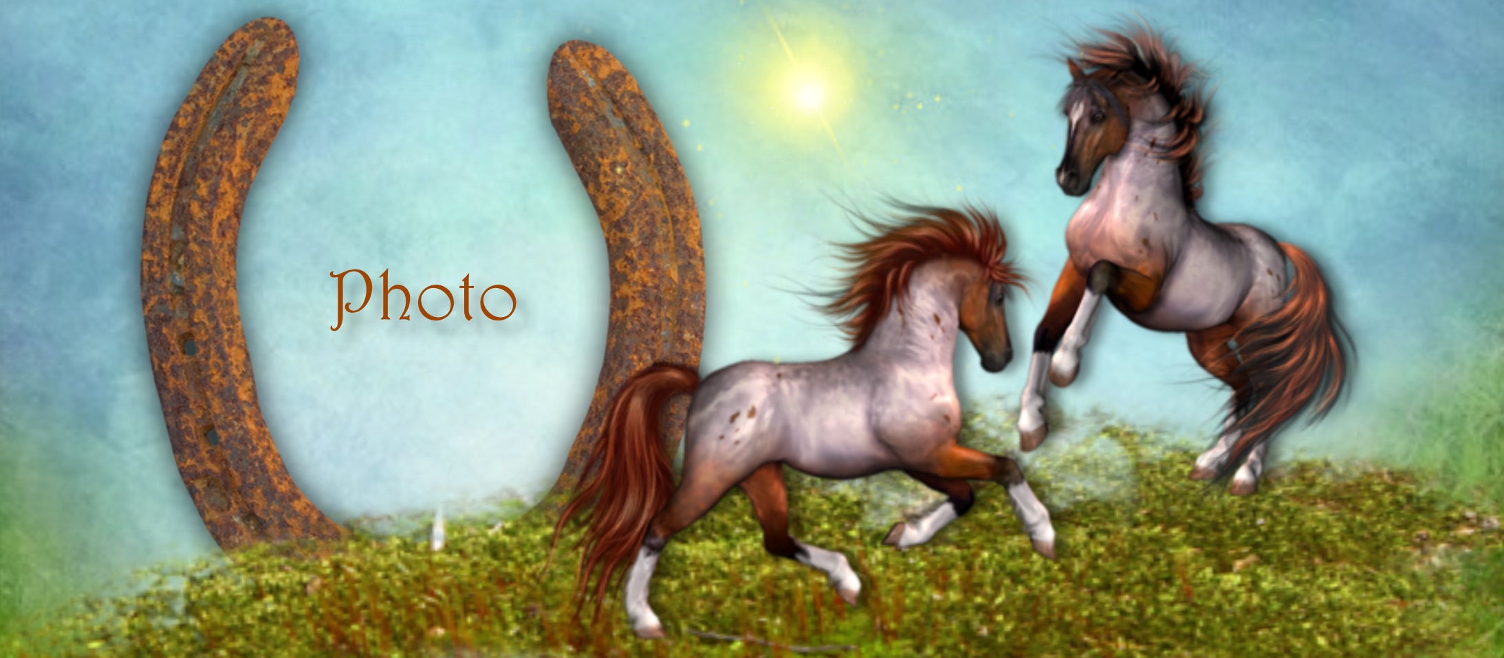 Covers Horse Forum at Jennie Fane blog