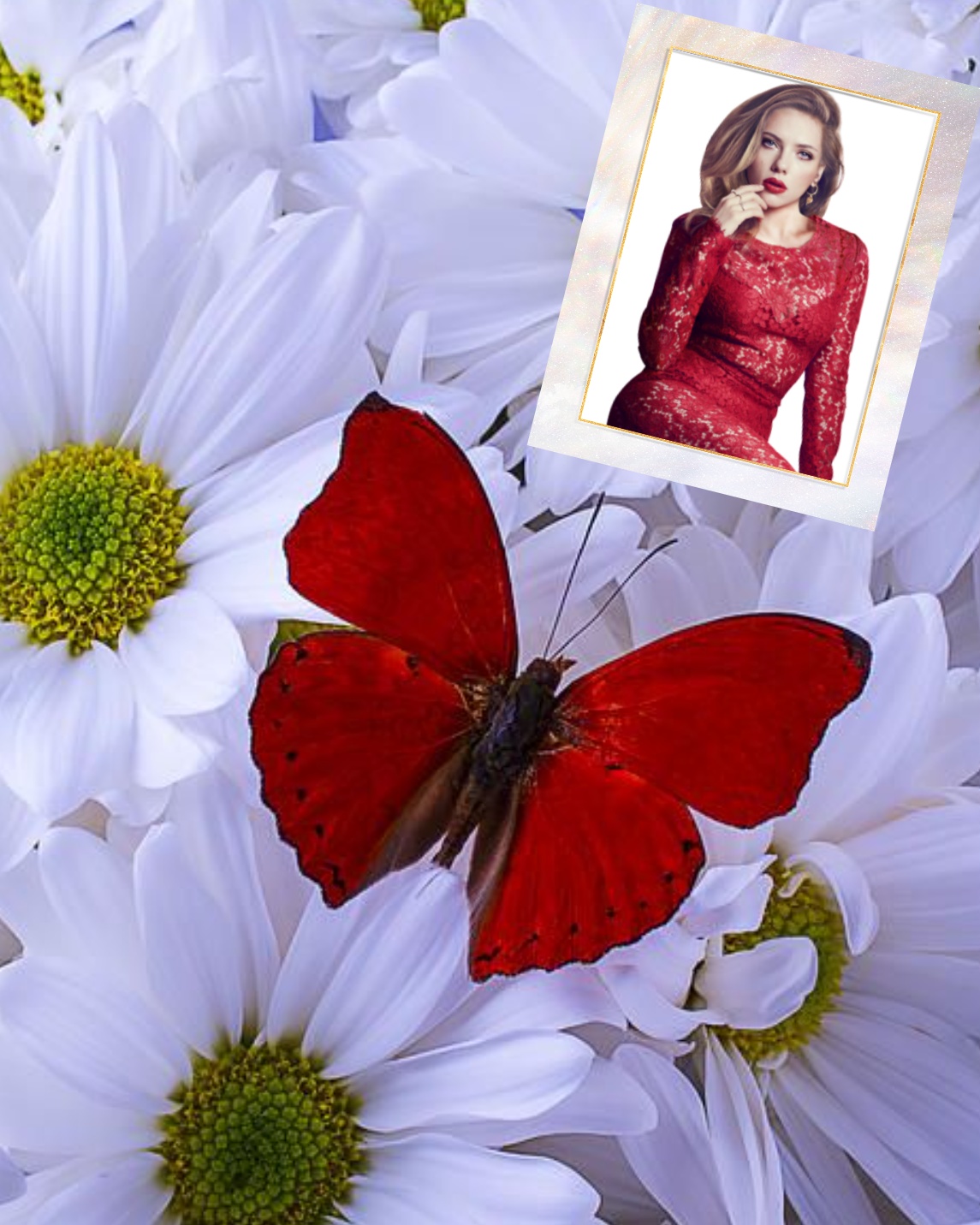 Elaine's FLOWERS FLOWERS FLOWERS