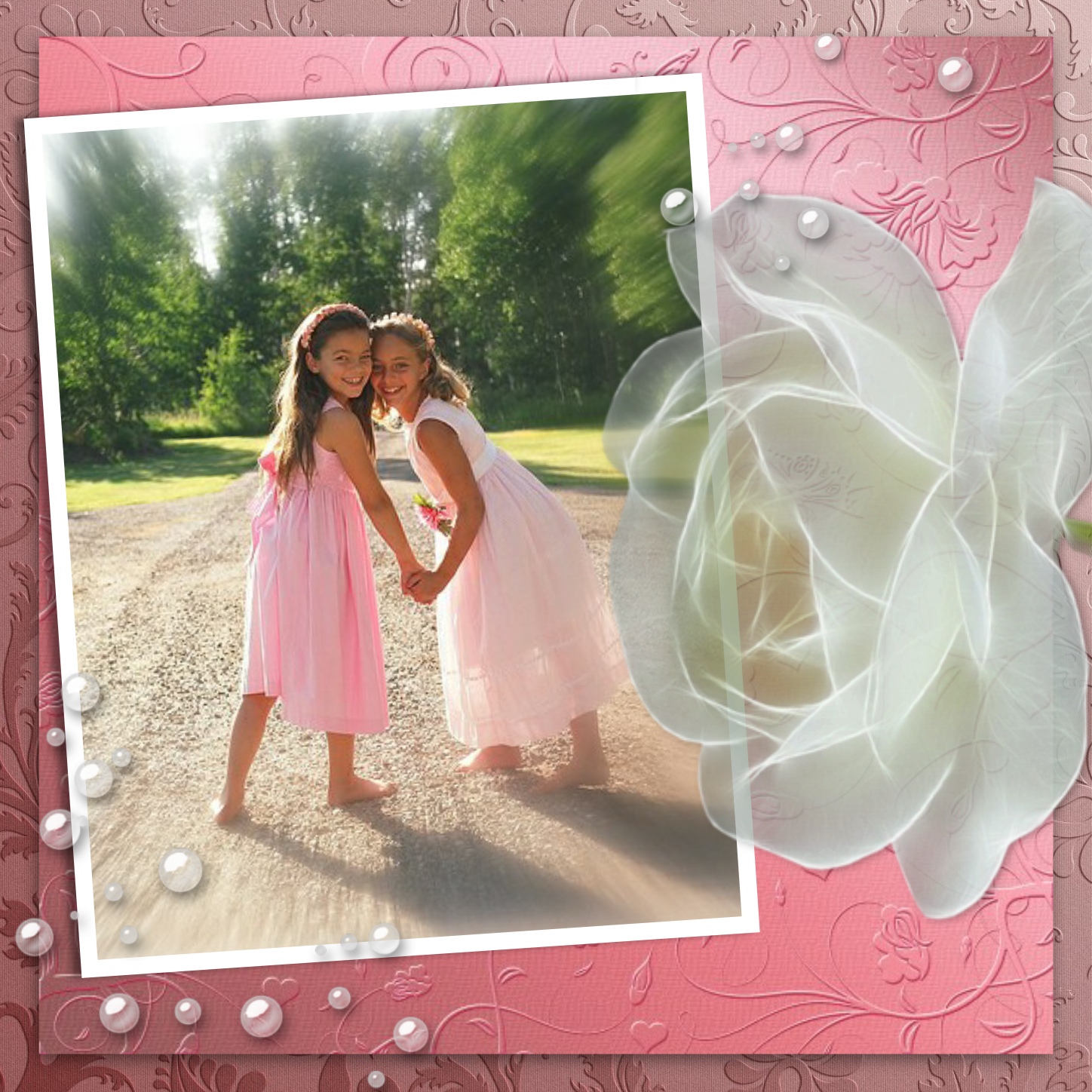 Elizabeth's FAMILY & FRIENDS 💝 - Family Floral Glow White Rose