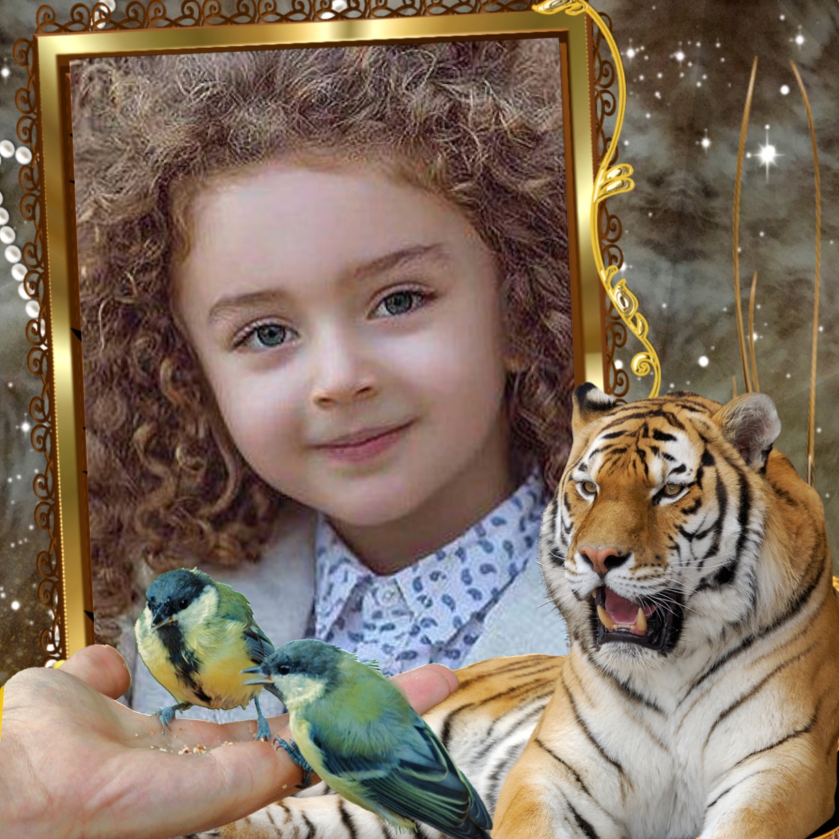 Emily50 s Wildlife Wildlife Wildlife Wildlifekidschildren