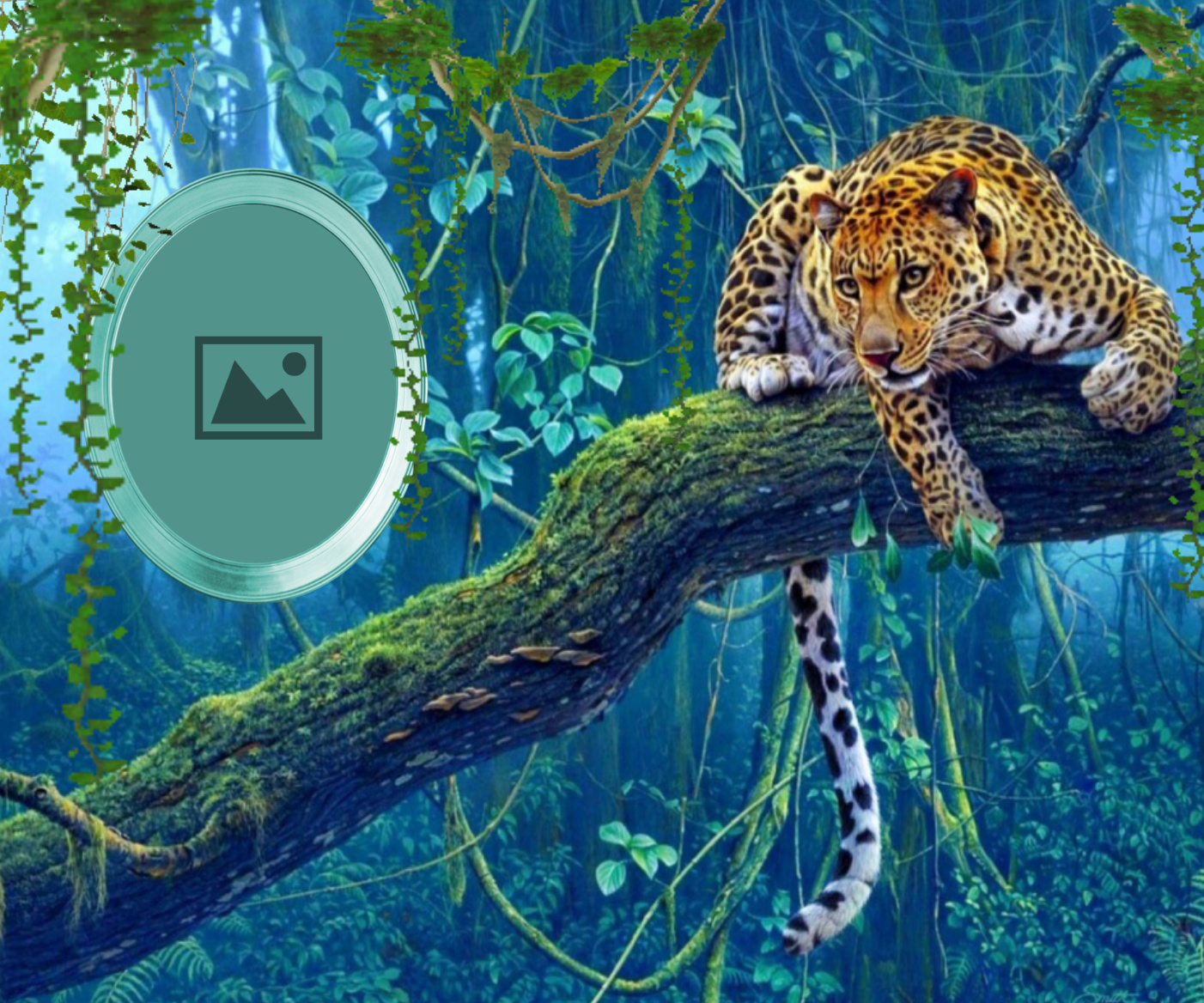 pussycatlady22's Wildlife Frames Wildlife Frames Wildlife Wildlife