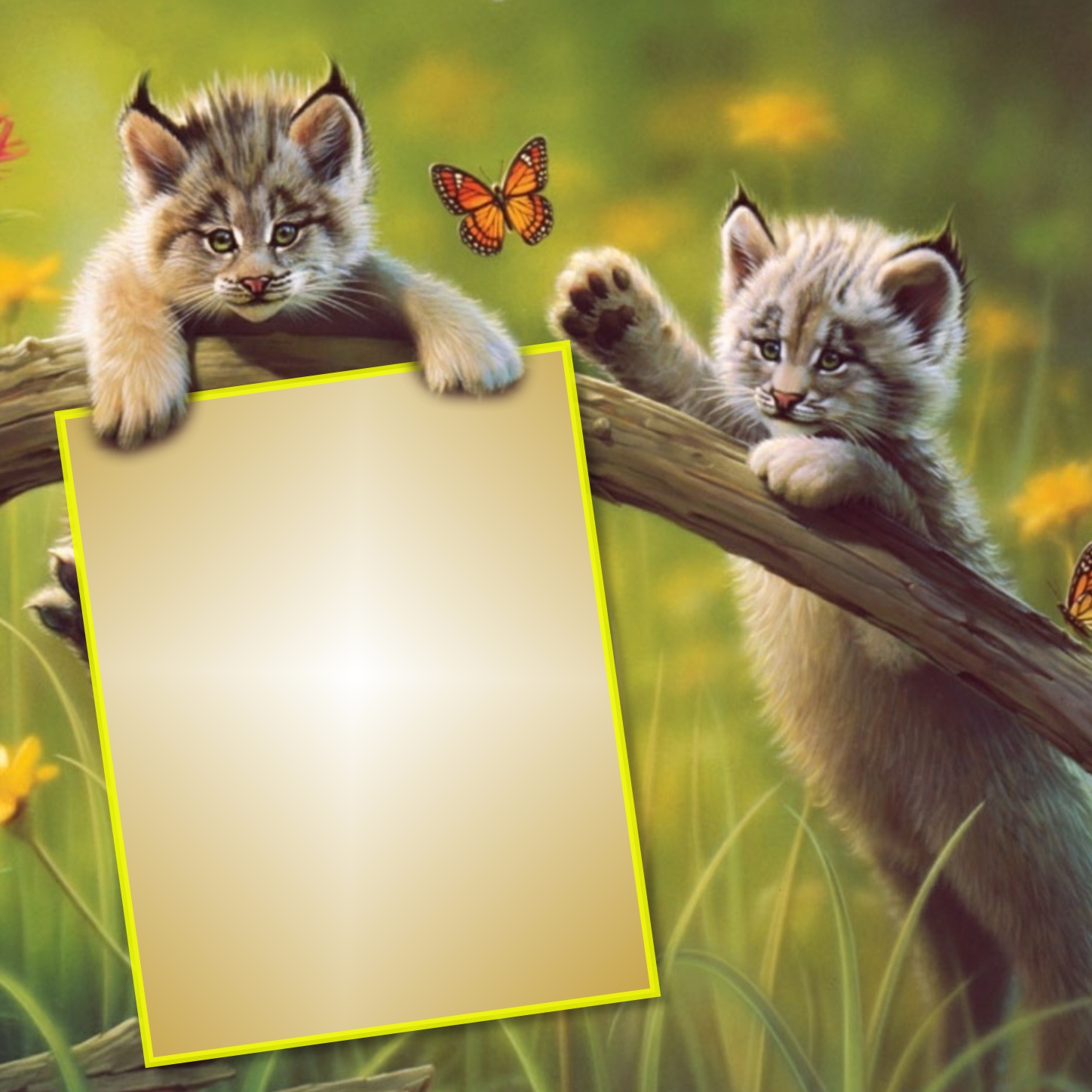 tippytoecat's Wildlife Frames 2013 2014 2013 2014 Outdoor Fun