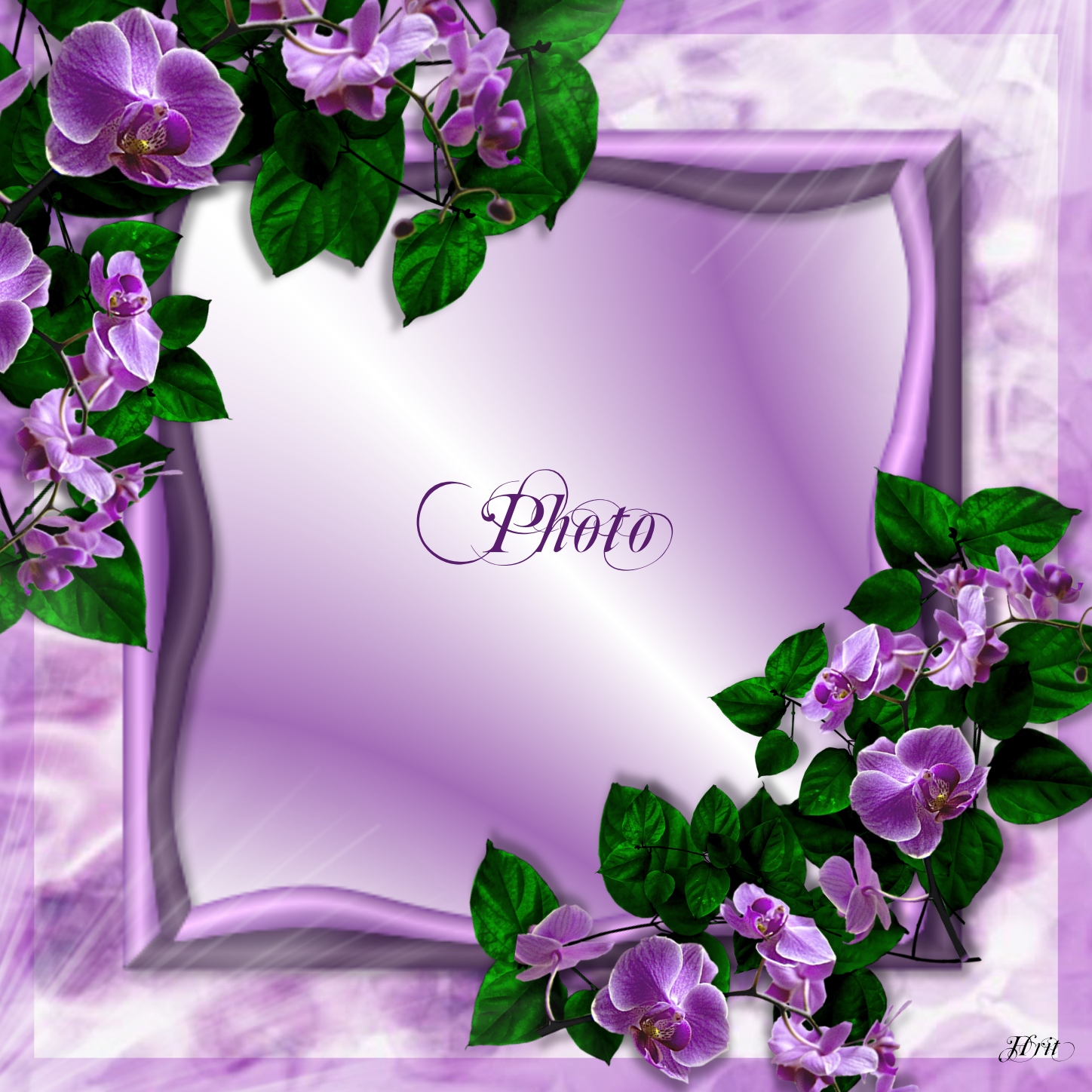 hrit's Photo Album Frames 2014 Flowers Hrit photo Albums Flowers