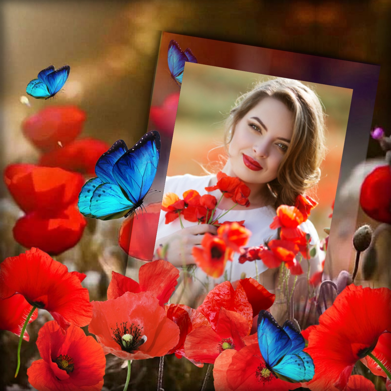 Adelaide's FLORES 💐 FLOWERS Adelaide Adelaide Flores Bom Dia