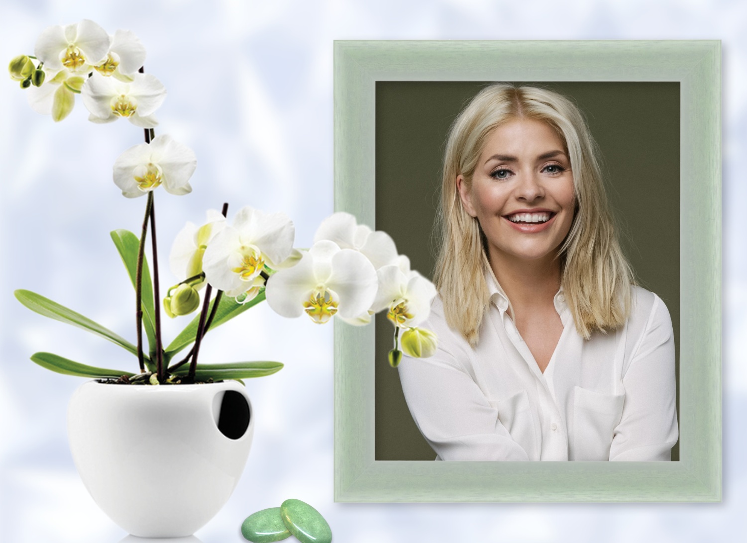 Elizabeth's FAMILY & FRIENDS 💝 - Family Friends Orchid - Family Friends