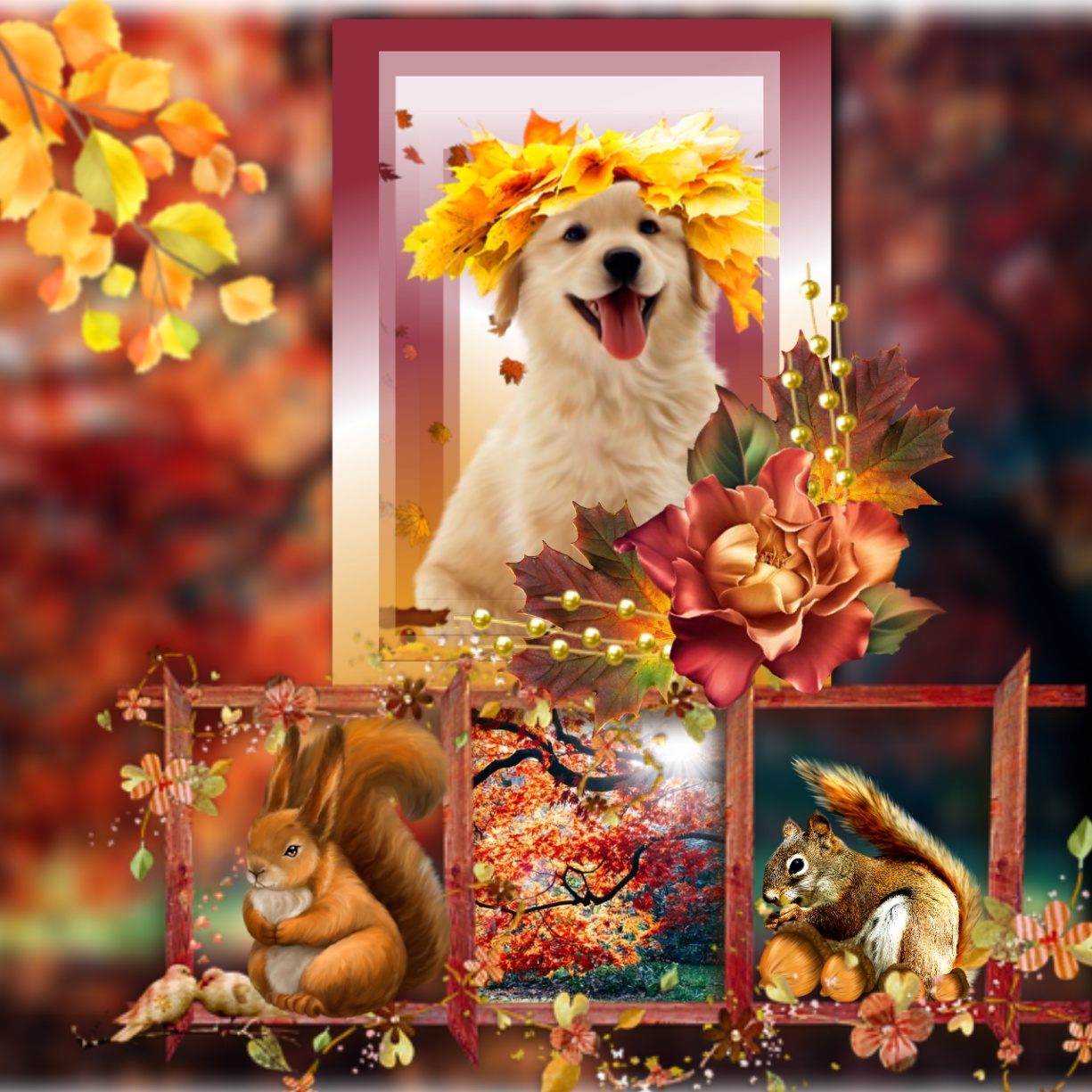 It'sMichelle's FALL - Fall Frames Fall Fall Colors Nature - Fall Frames ...