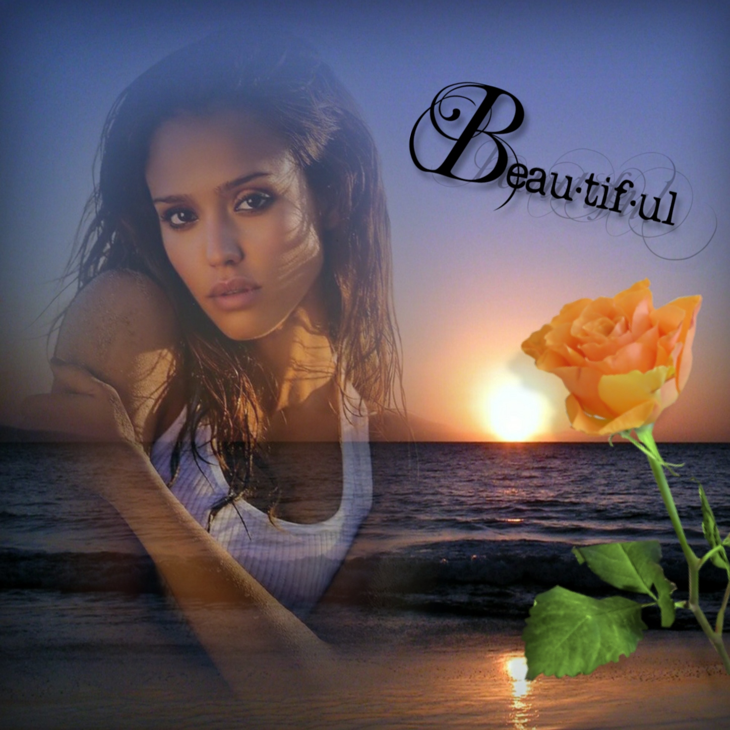 Elizabeth's NATURE & LANDSCAPE 🌈 🌦 Ocean Sunset Yellow Rose Elizabeth