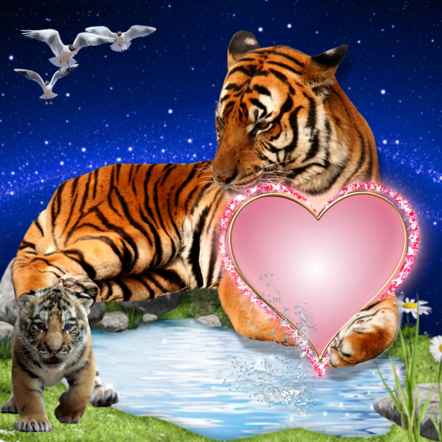 Love♡Tiger Imikimi Zo - Wildlife Frames - Tiger love Horror02 wildlife