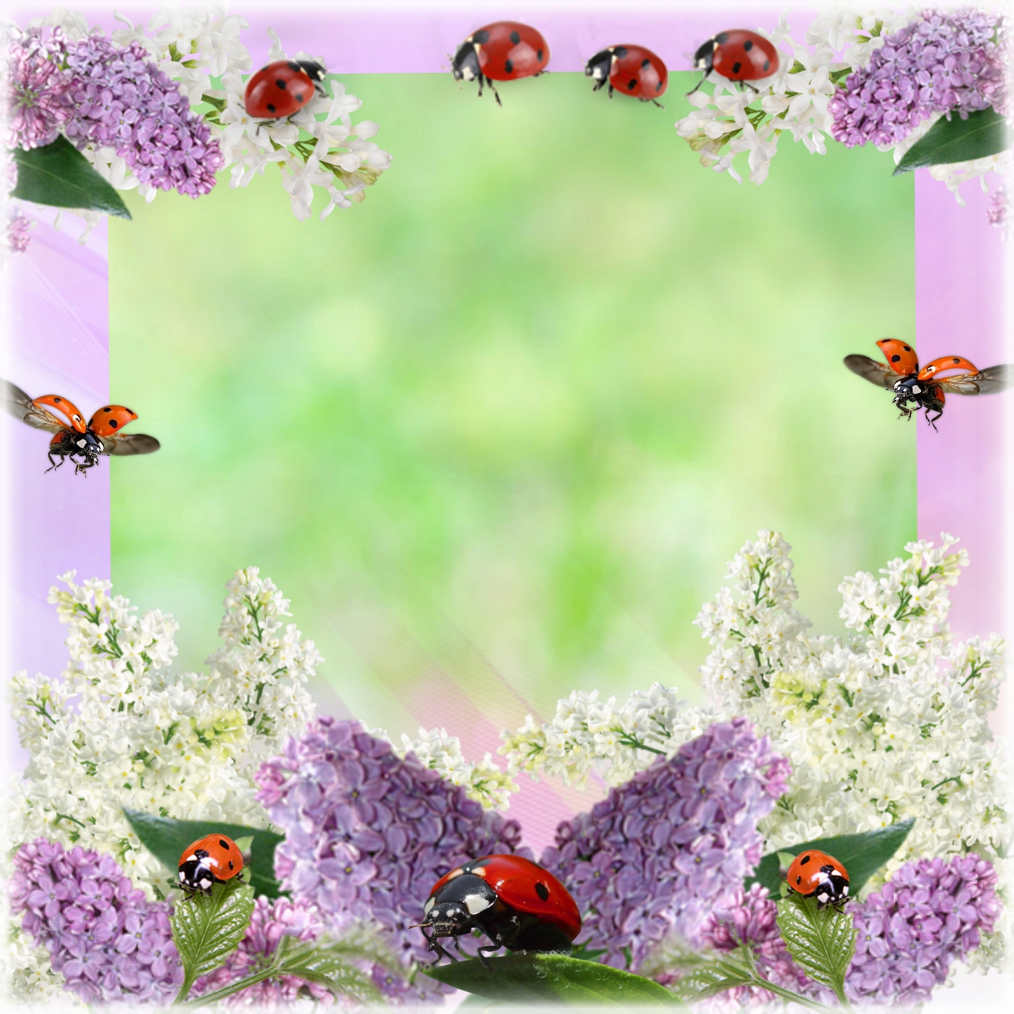 Sinnlich's ME! Frames - 2017 May - September - Ladybug in Lilac ...