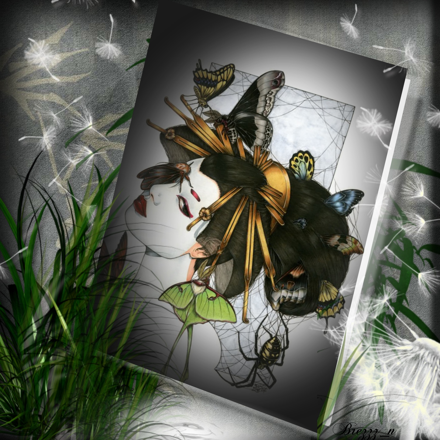 brezzz_n's Picture Frames 2009 September Essence of Zen Brezzz N