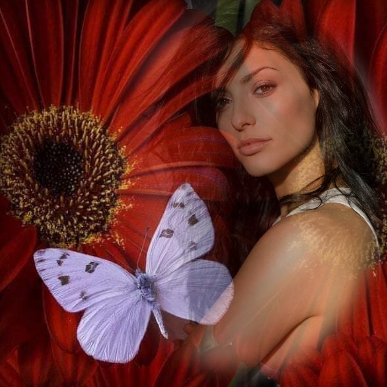 Adelaide's FLORES 💐 FLOWERS Adelaide Adelaide Flores Bom Dia