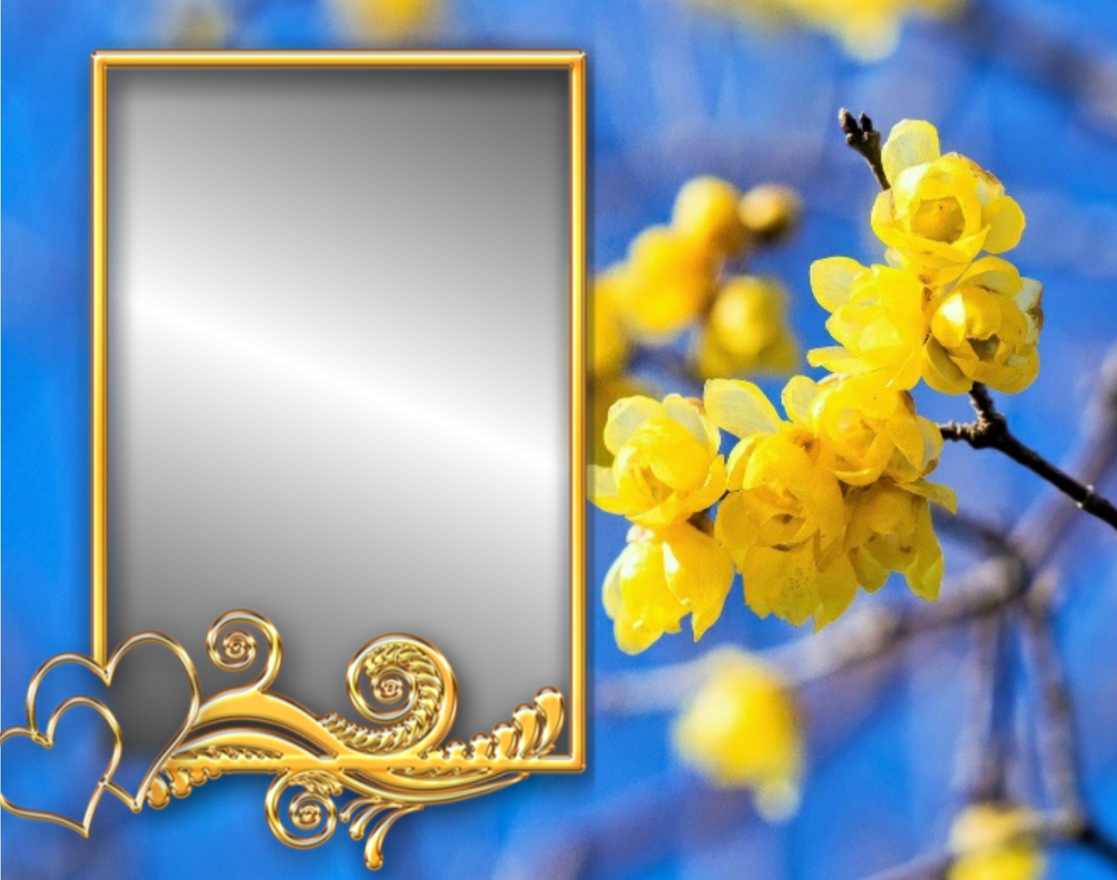 sterva1990's Spring Frames - 2017 May - 2017 May - Frame Sterva1990 spring