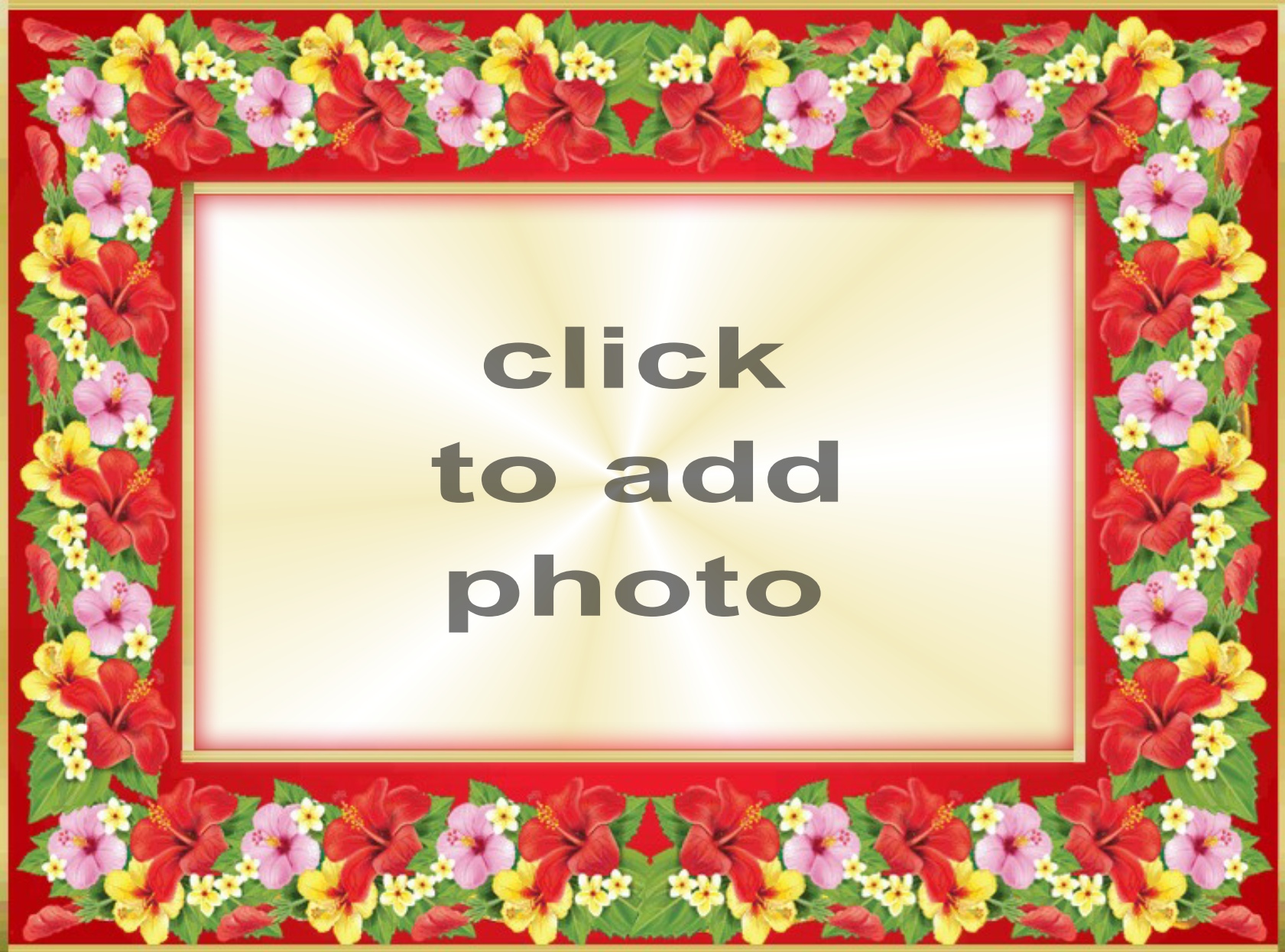 MrsPetrova's Picture Frames 2014 August Exotic Flower Frame Mrs Petrova picture Frames