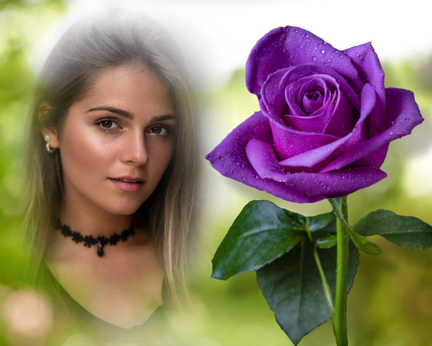 Elizabeth's GOOD MORNING/DAY/NIGHT ⭐️ 2/3 Haveagreatday Purple Rose