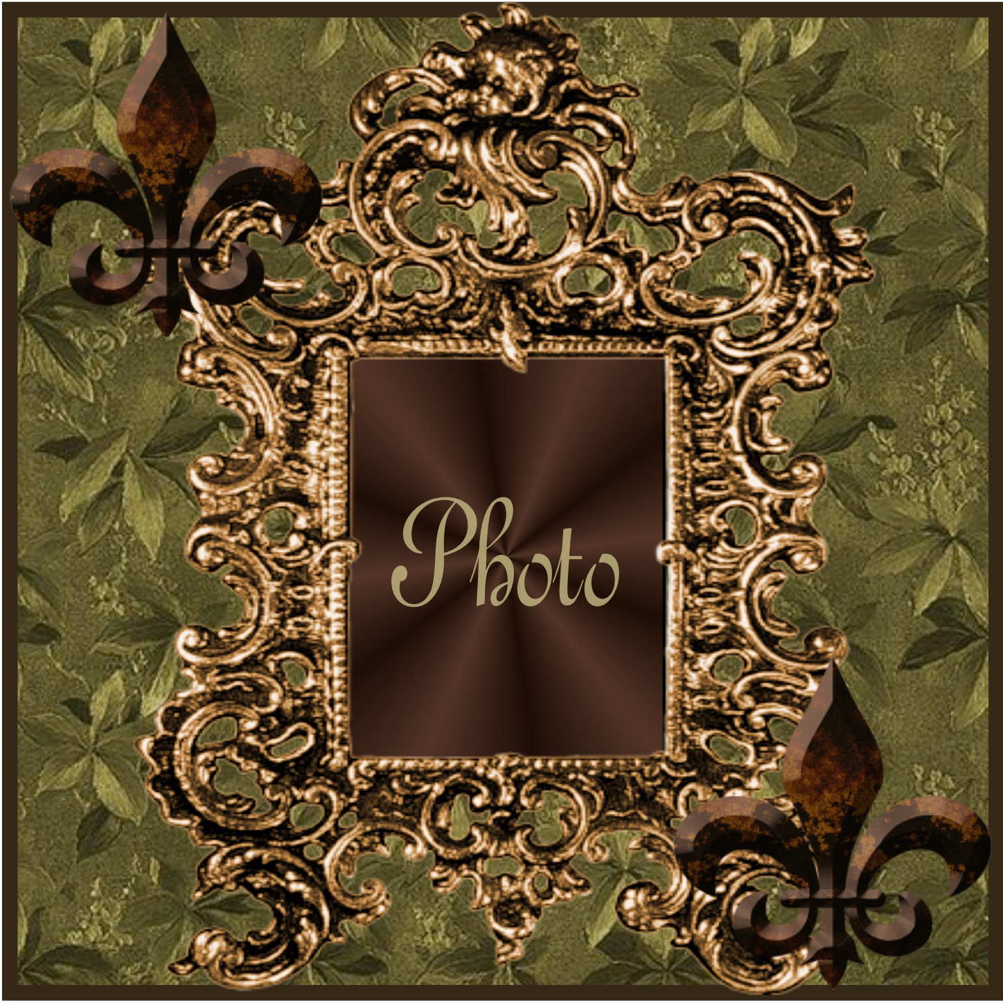 TAMMYBRANTLEY&rsquo;s Picture Frames - 2012 April - Fleur De Lis Fleur De Lis