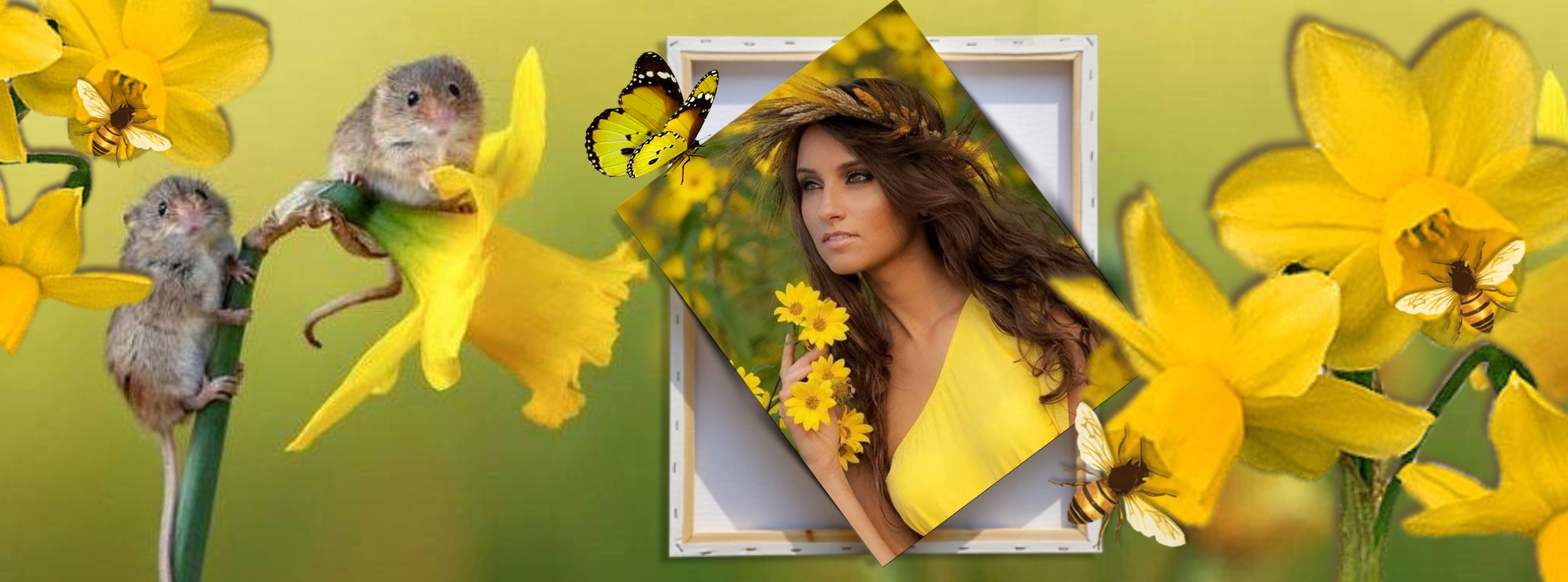 Adelaide's Facebook Cover Frames / Capa de Facebook Adelaide